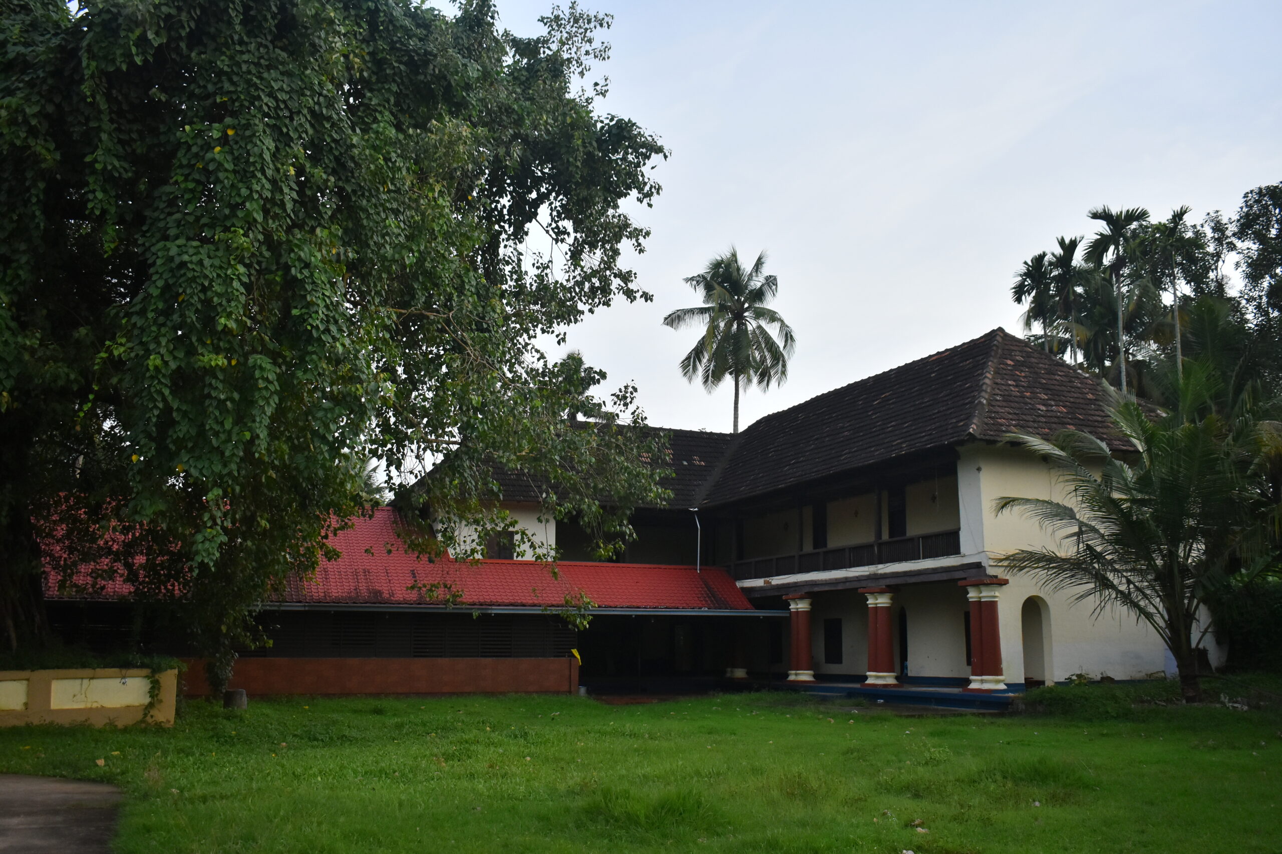dsc 0846