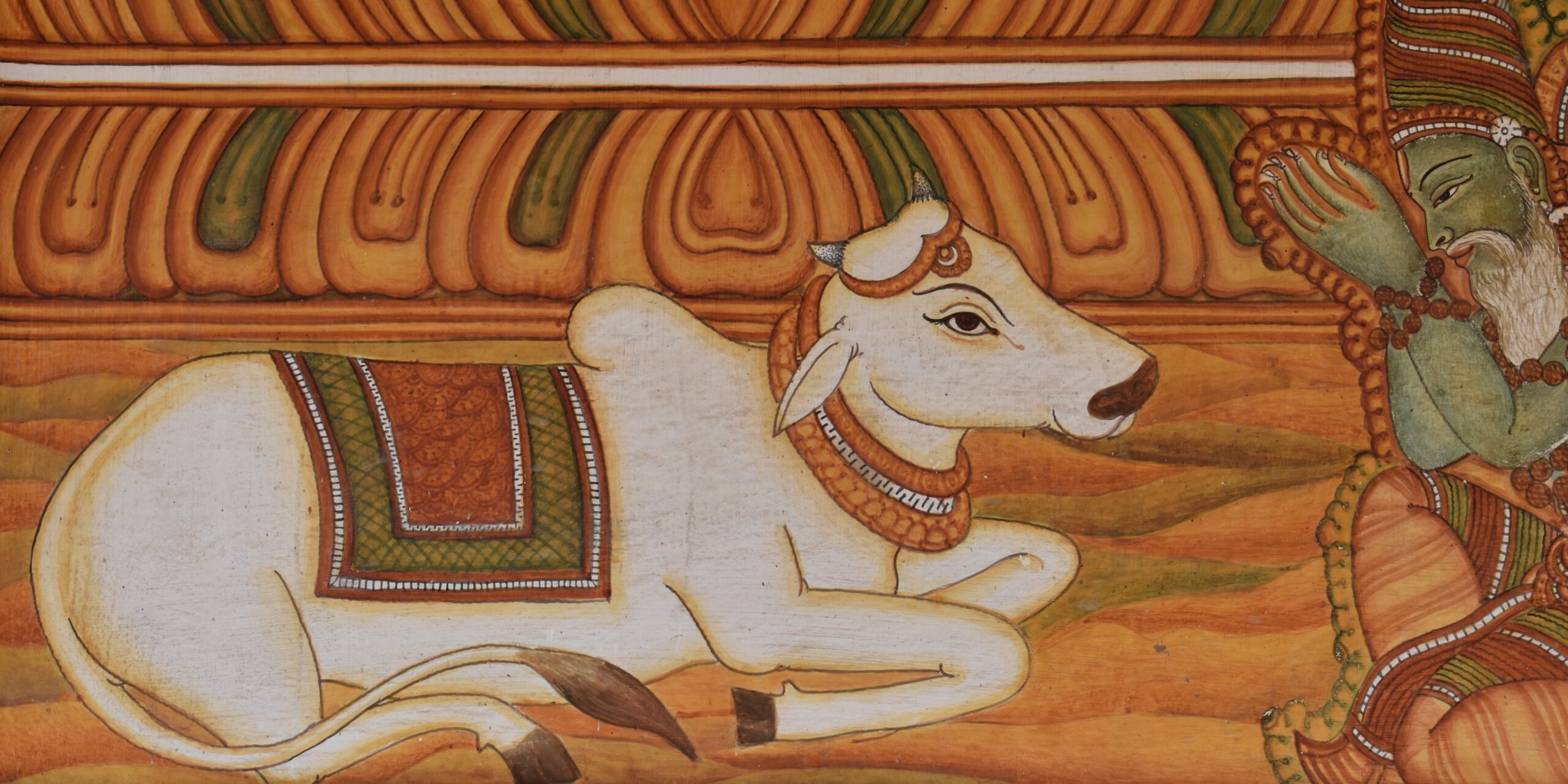 nandi cover